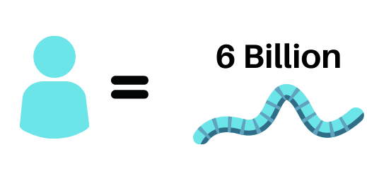 5 more C. elegans facts you may not know (yet)