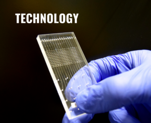 Microfluidic chip Enabling small organisms testing