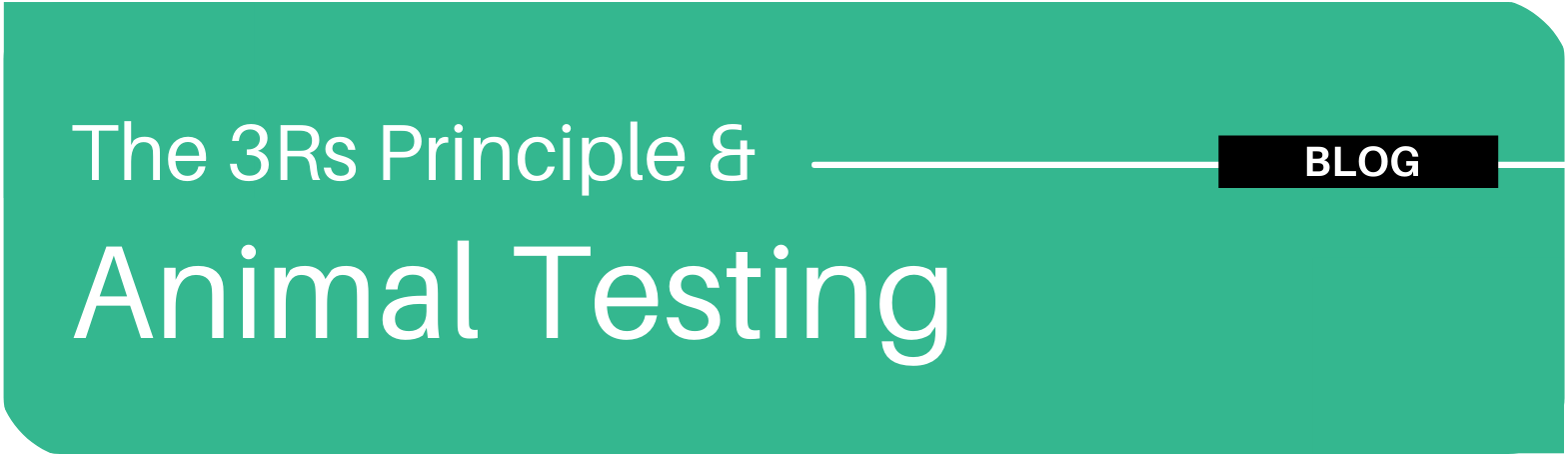The 3Rs Principle And Animal Testing Nagi Bioscience