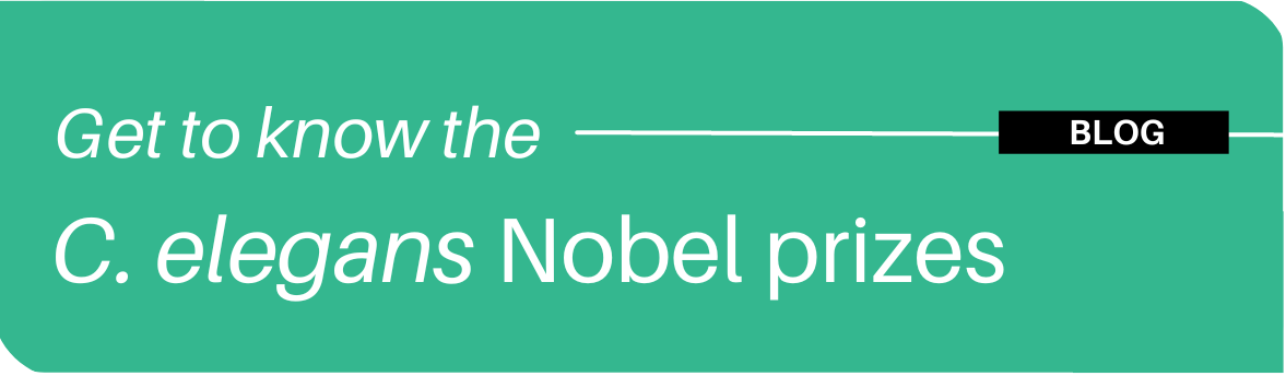 The C. elegans Nobel Prizes
