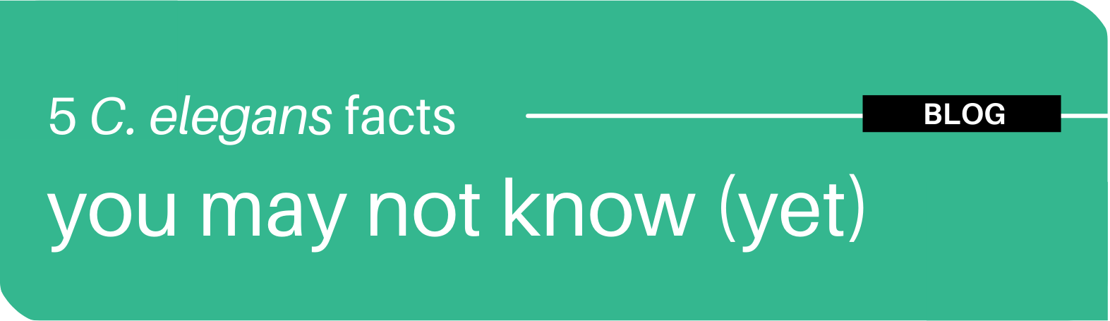 Discover some facts about the biological model C. elegans. 5 C. ELEGANS FACTS YOU MAY NOT KNOW (YET)