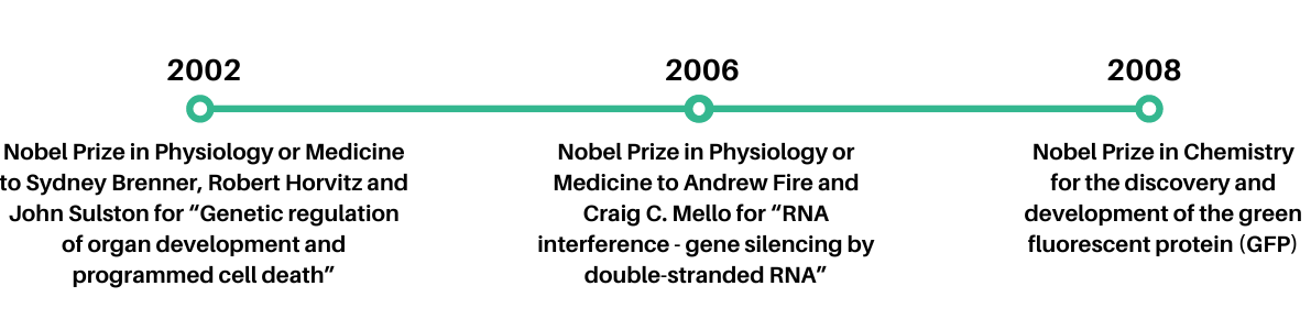 nobel prizes c. elegans chronology