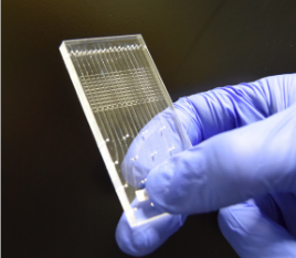 Nagi Chips Microfluidics technology