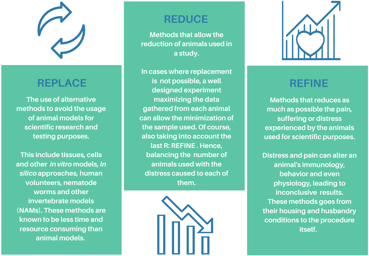 The 3Rs Principle And Animal Testing Nagi Bioscience