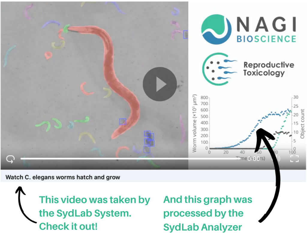 Alternative Testing Market Overview. how we automate C. elegans analysis at Nagi