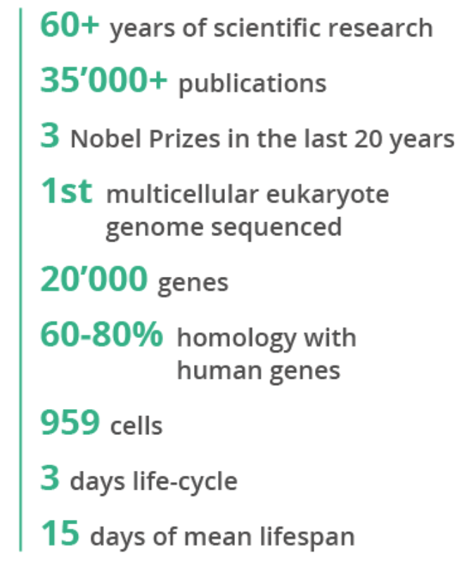 C. elegans research in numbers