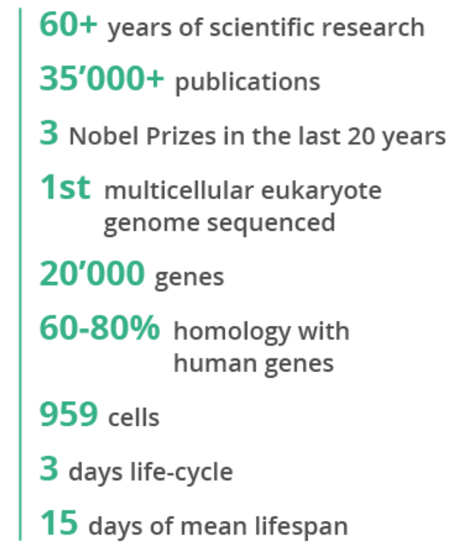 C. elegans research in numbers. 5 C. ELEGANS FACTS YOU MAY NOT KNOW (YET)