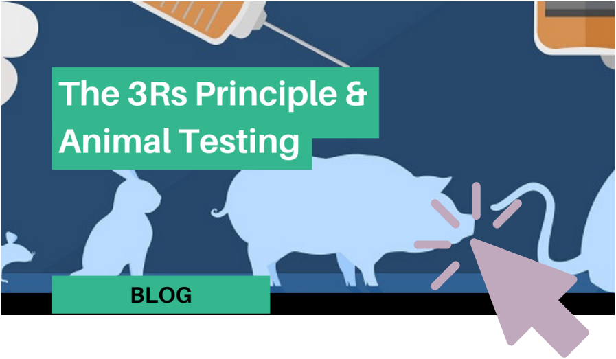 3Rs Principle animal testing