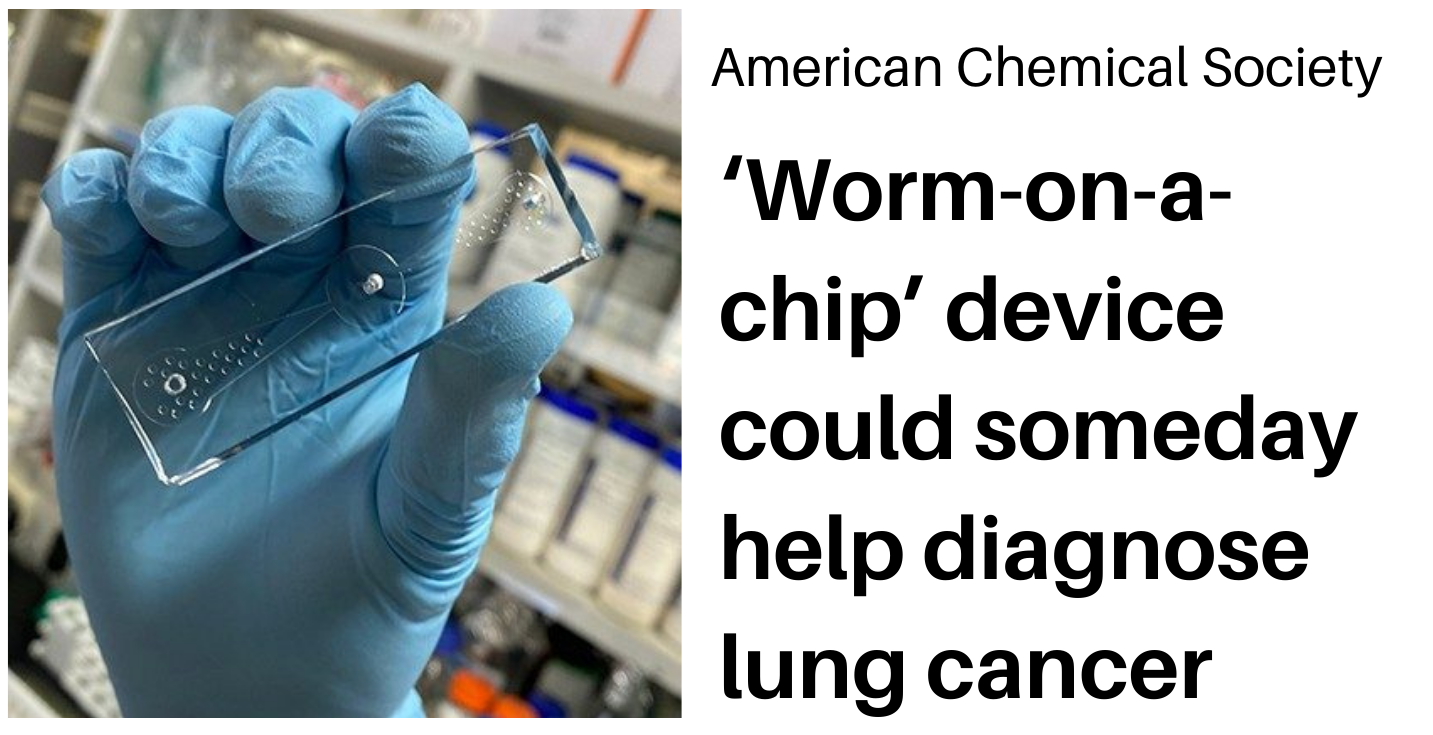 Research. ‘Worm-on-a-chip’ device could someday help diagnose lung cancer