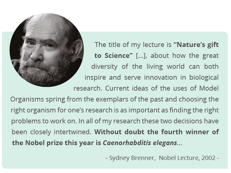 Sydney Brenner and C. elegans. Can C. elegans hear? Nematodes for auditory neuroscience research