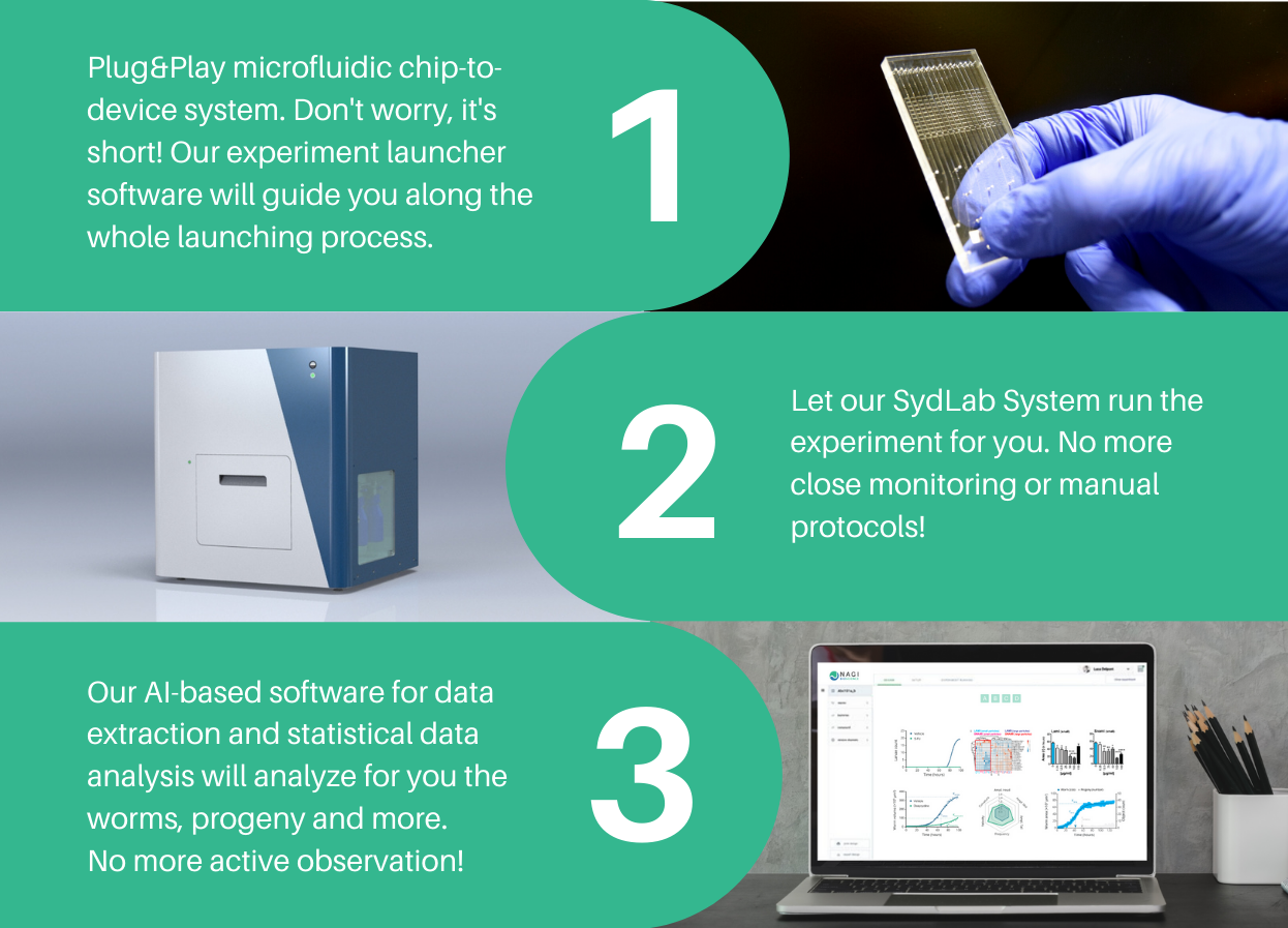 SydLab System by Nagi Bioscience. 5 C. ELEGANS FACTS YOU MAY NOT KNOW (YET)