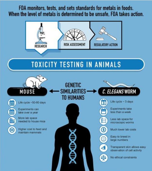 FDA infographic. C. elegans advantages for toxicity tests FDA Modernization Act 2.0 Approved