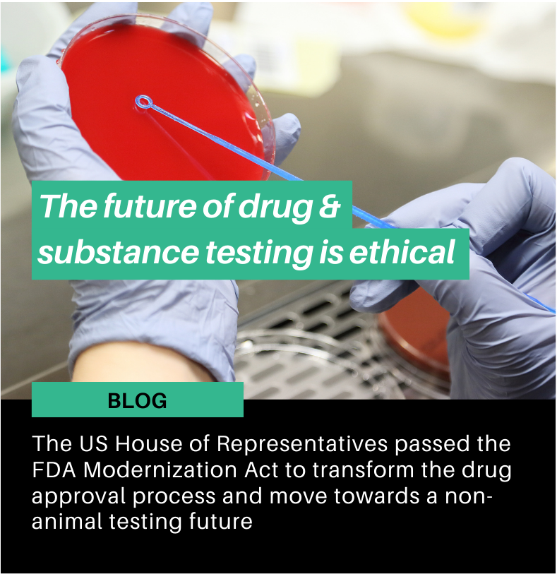 Drug development and substance testing animal welfare, ethical testing