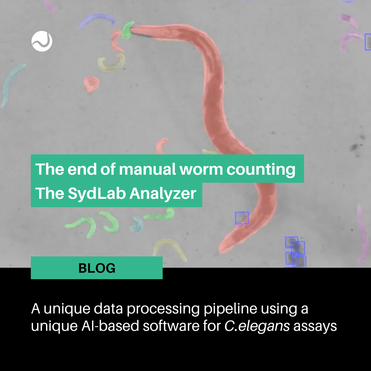 SydLab Analyzer: The end of manual worm counting