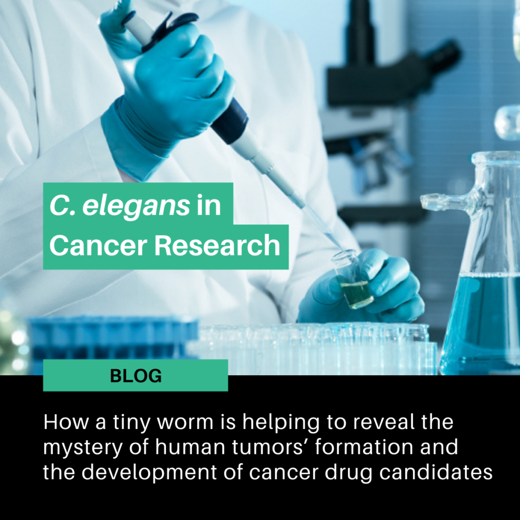 C. elegans in Cancer Research 3D-printed conductive circuits into C. elegans worms