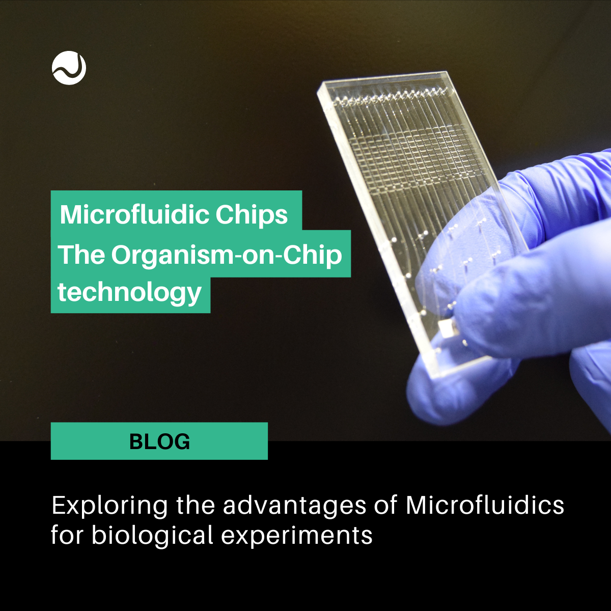 Microfluidic Chips: Exploring the technology