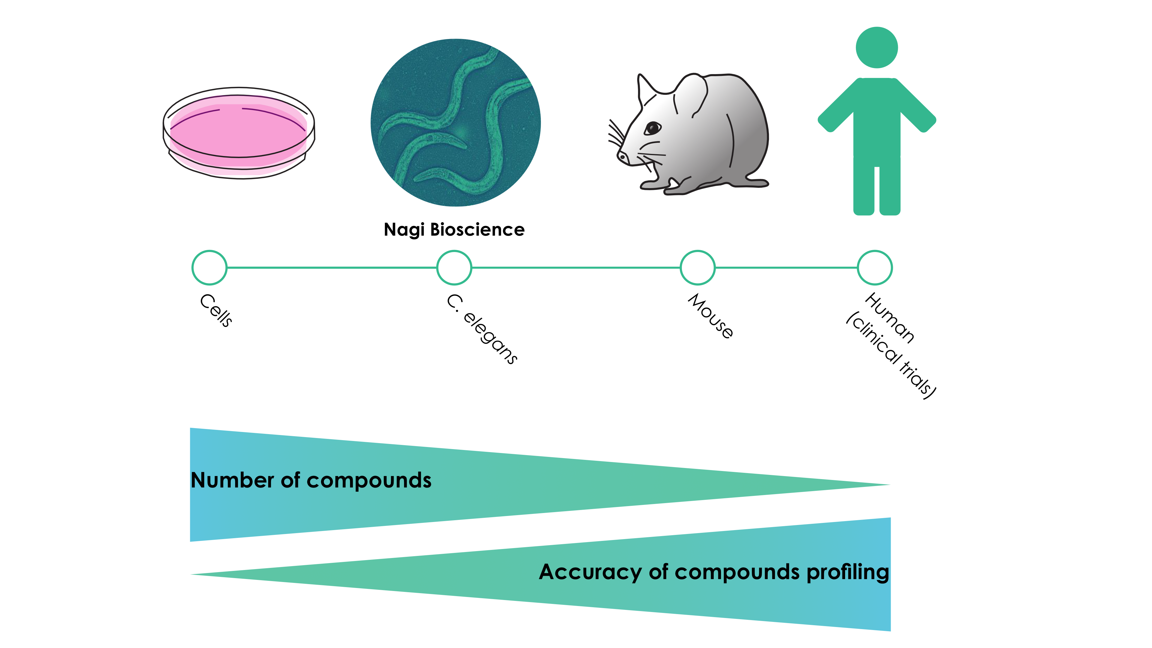 Proposed outline of a compound testing pipeline