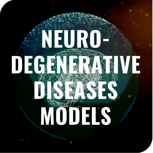 neurodegenerative disease biological models