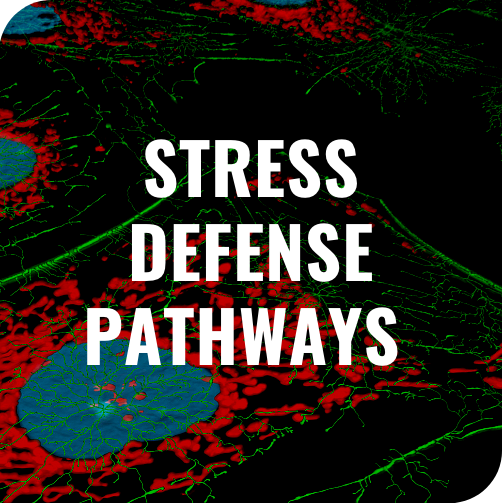 stress defense pathways biological models