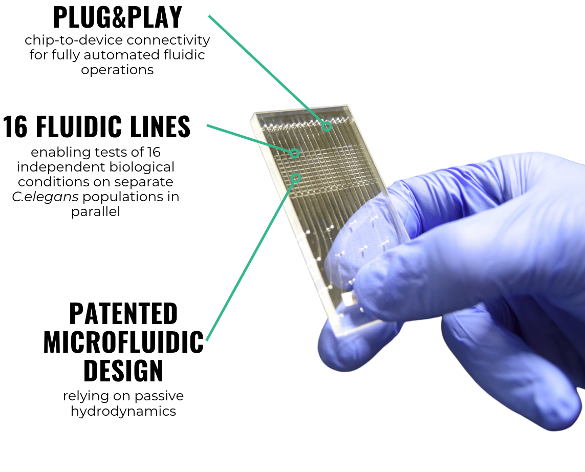 Organism-on-Chip Technology nagi chips