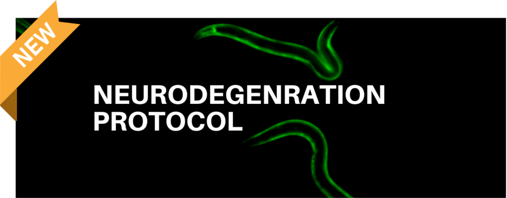 neurodegeneration protocol assay c. elegans applications