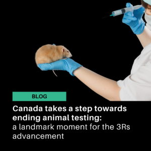 Canada takes a step towards ending animal testing