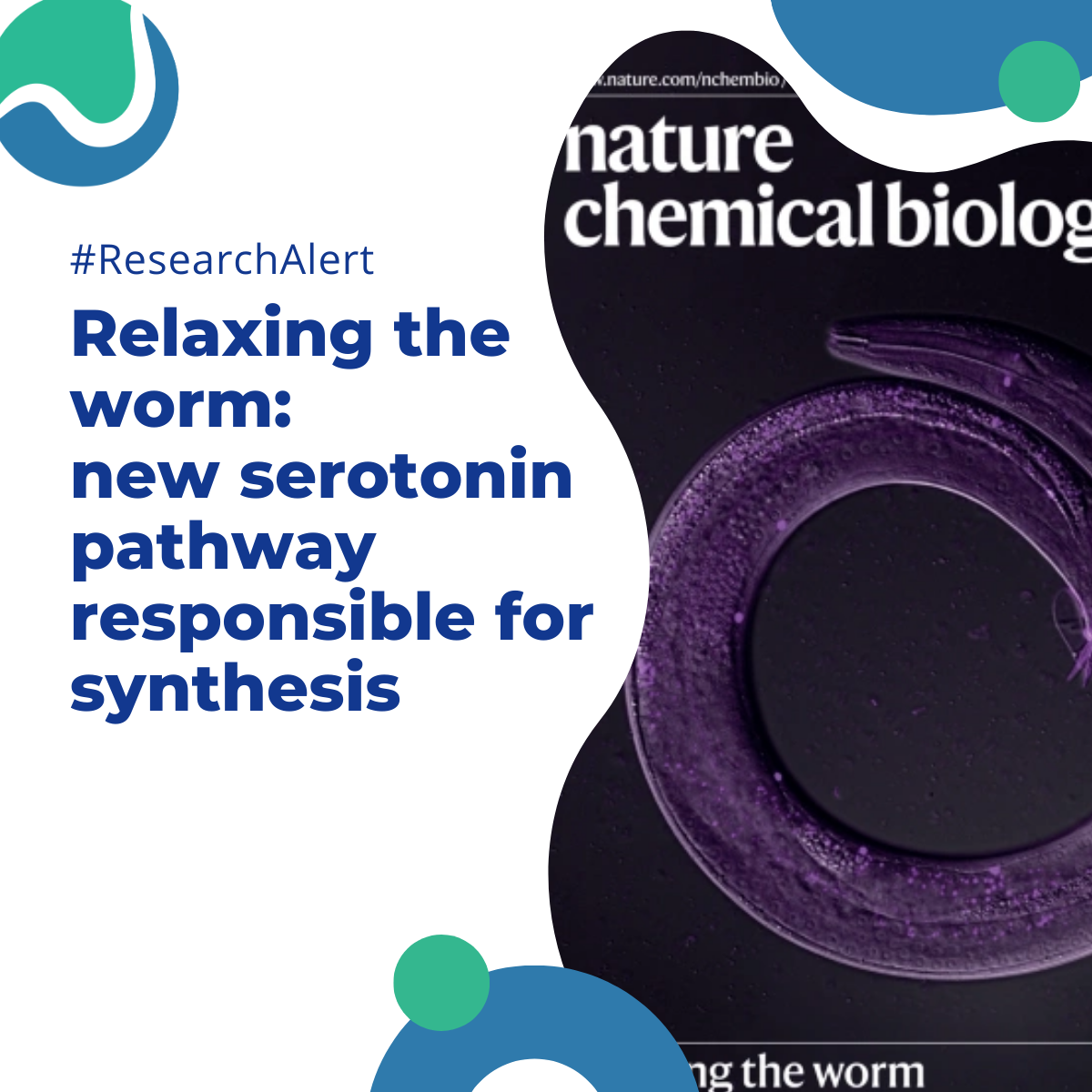 #ResearchAlert Relaxing the worm: new serotonin pathway responsible for synthesis
