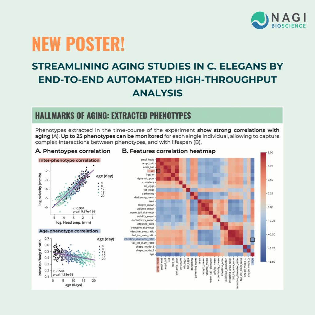 Poster Swiss Celegans Meeting 2024 Bern, Aging studies