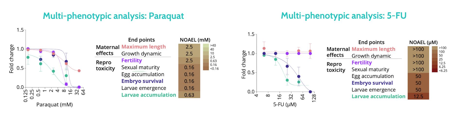 multi-phenotypic analysis toxicity 5-FU