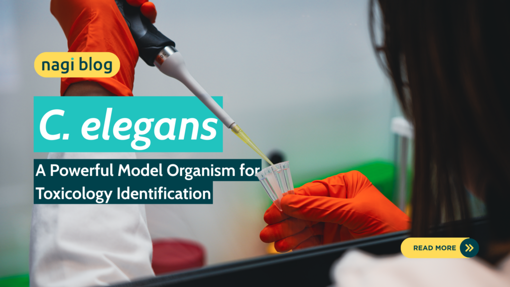 C. elegans: A Powerful Model Organism for Toxicology Identification ...
