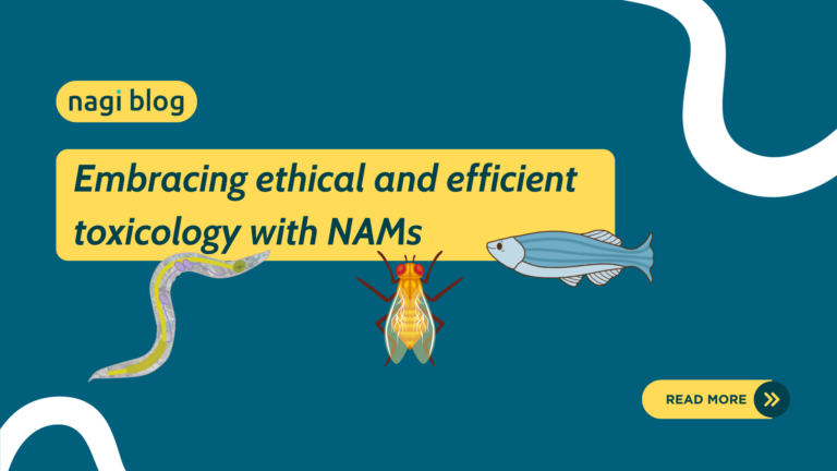 Embracing ethical and efficient toxicology with NAMs