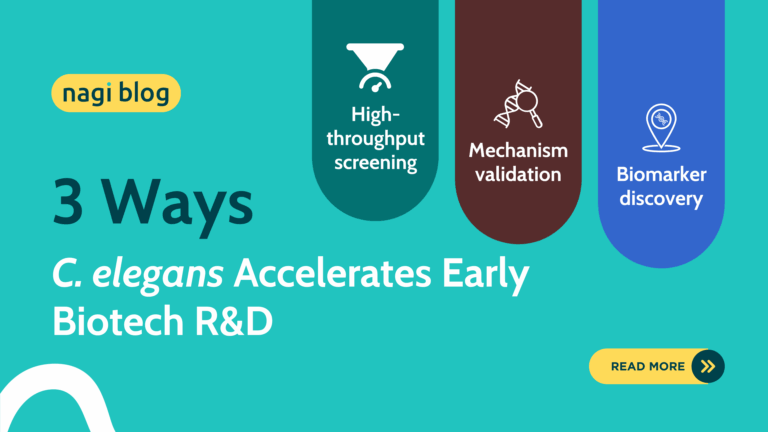 How C. elegans data supports early biotech R&D