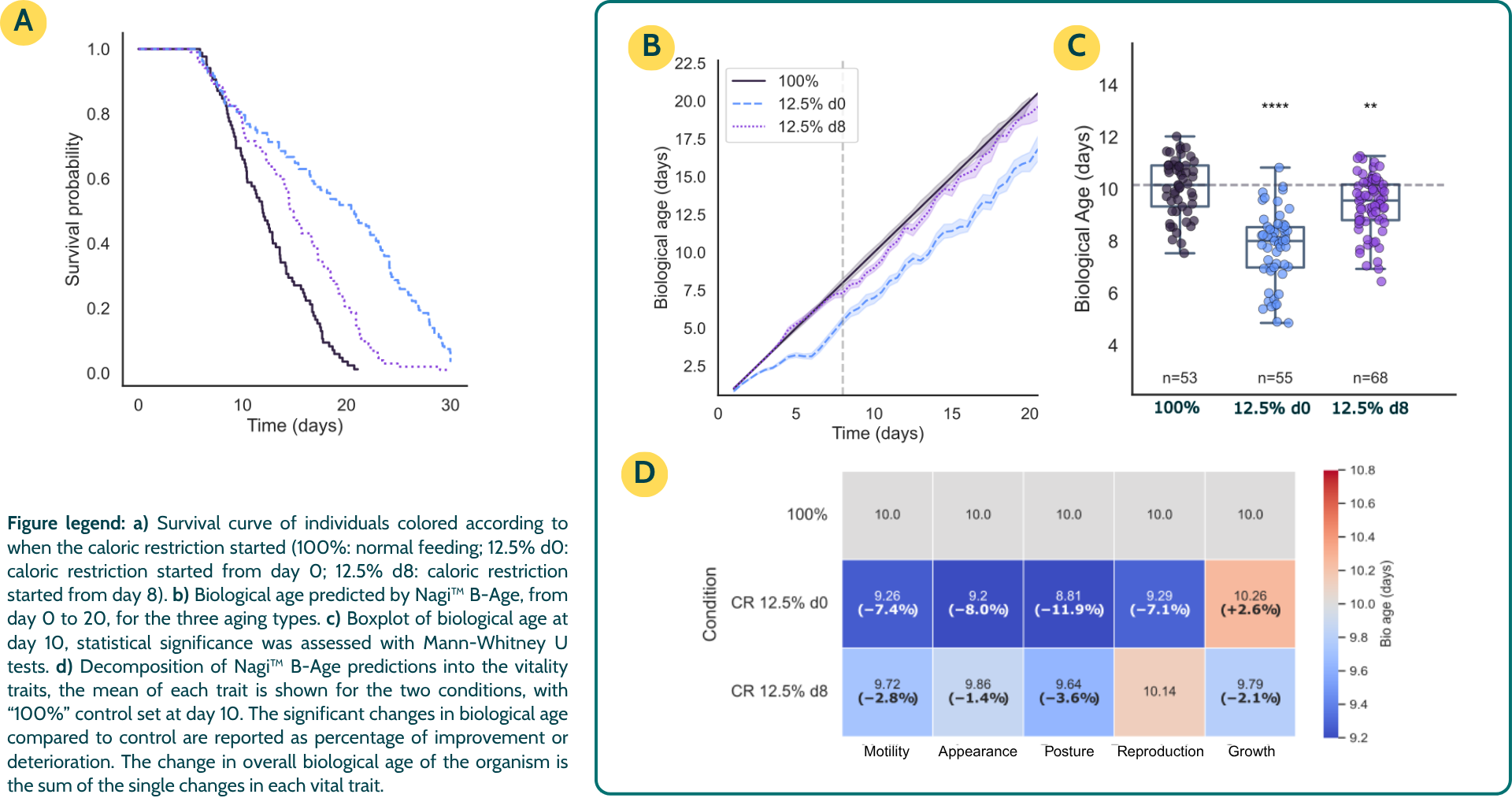 Graphs and data charts demonstrating biological age reduction and trait-specific improvements in C. elegans using Nagi B-Age. Aging interventions old organisms.