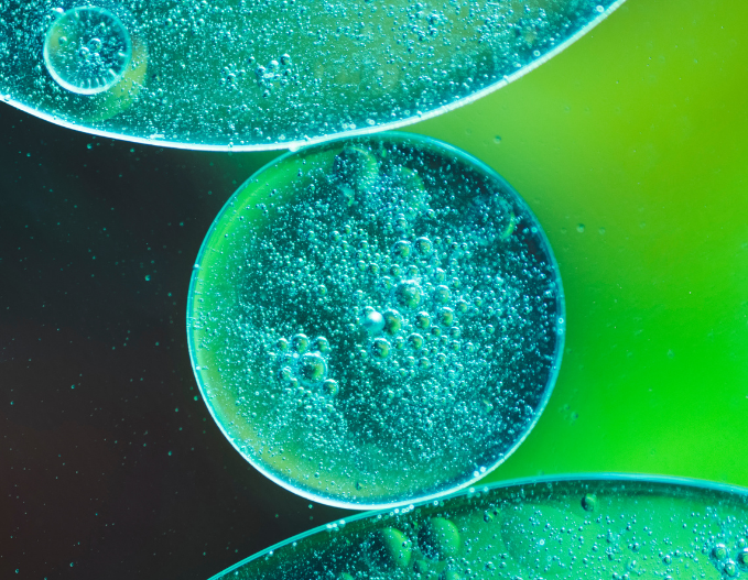 Microscopic cellular structures representing your focus: the hallmarks of aging, nutraceutical innovation, and longevity science.