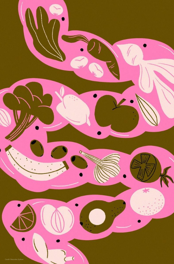 Gut microbiome and nutrition illustrated as key drivers of healthy aging and metabolic resilience